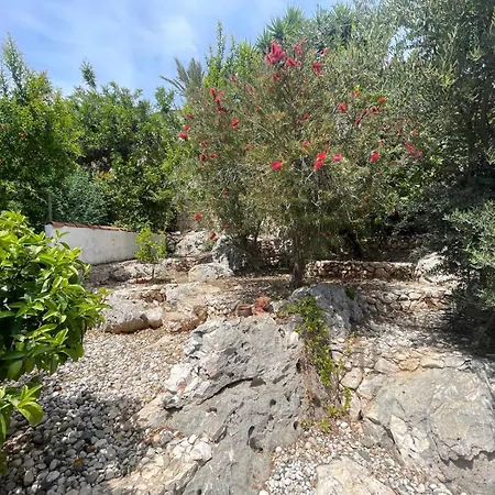 Monix Homes-villa Magic Garden Villa